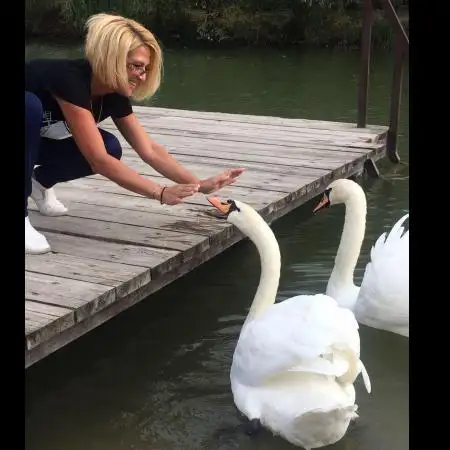 Natela, 55Vereinigte Staaten