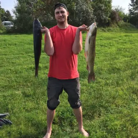 Anton, 34Elmshorn, Deutschland