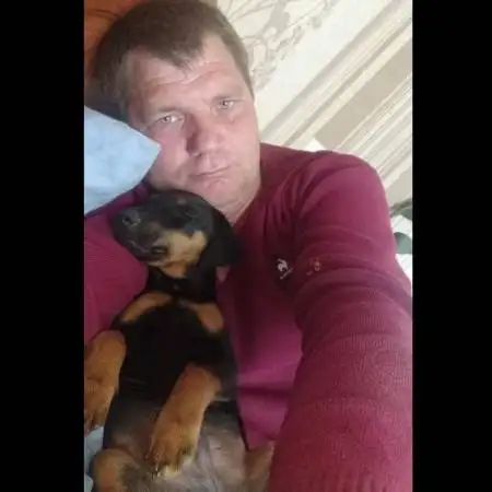 Ivan, 49Vereinigtes Konigreich 
