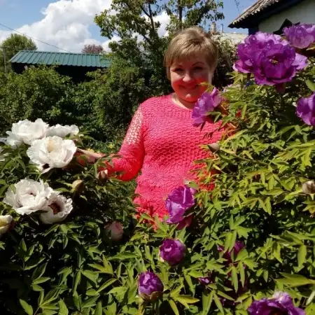 Elena, 52Wiesbaden, Deutschland 