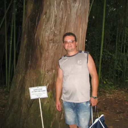 Kostya, 51 Vereinigte Staaten