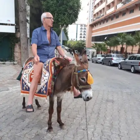 Viktor, 75Heilbronn, Deutschland