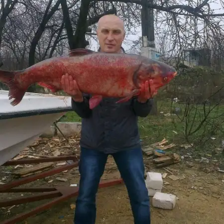 Vyacheslav, 55Praga, Tschechien