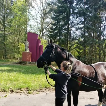 Lidiya, 38Kassel, Deutschland 