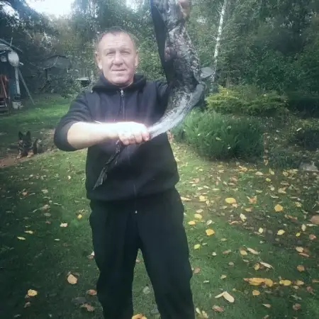 Aleksandr, 50Ahtyrka, Ukraine 
