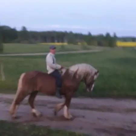 Dmitriy, 44Weißrussland
