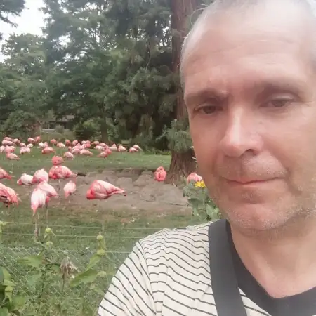 Roman, 49Brul, Deutschland