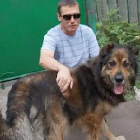 Oleg, 50Vereinigte Staaten 