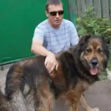 Foto Oleg 2 