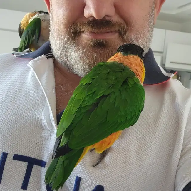 Valeriy, 52, Afula, Israel - Rus Liebe