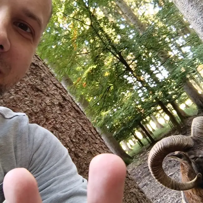 Dmytro, 42