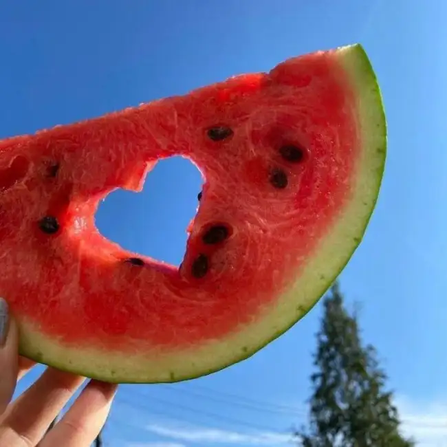 MaxRohVeg, 45 - Chemnitz - Rus Liebe